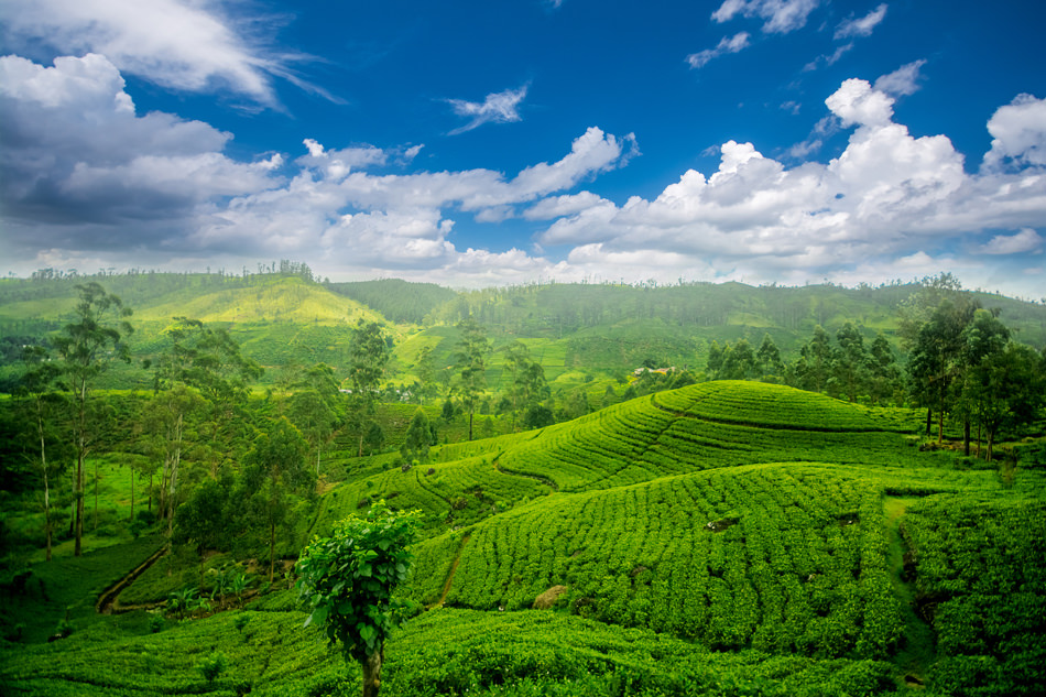 5 Most Relaxing Holiday Destinations in Sri Lanka - Nerdynaut